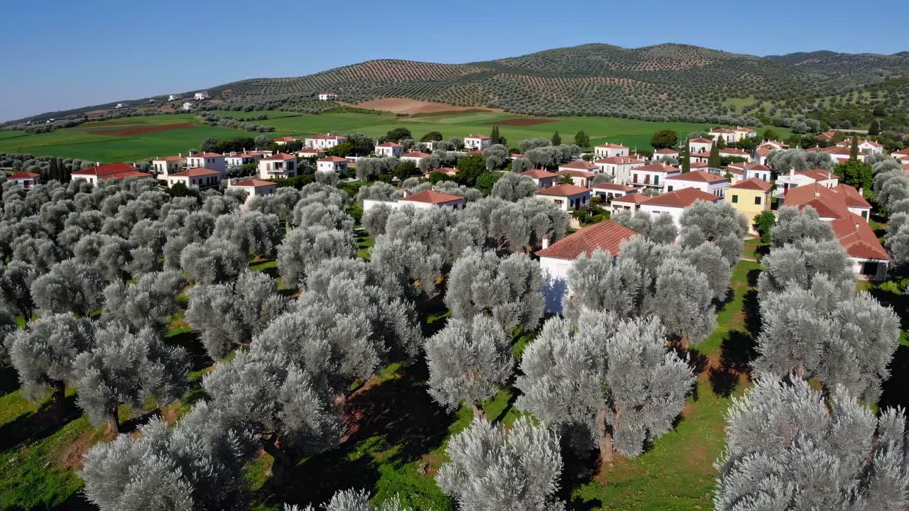 Vista aerea di un villaggio con uliveto