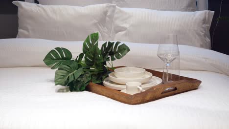 breakfast tray on a bed with plants