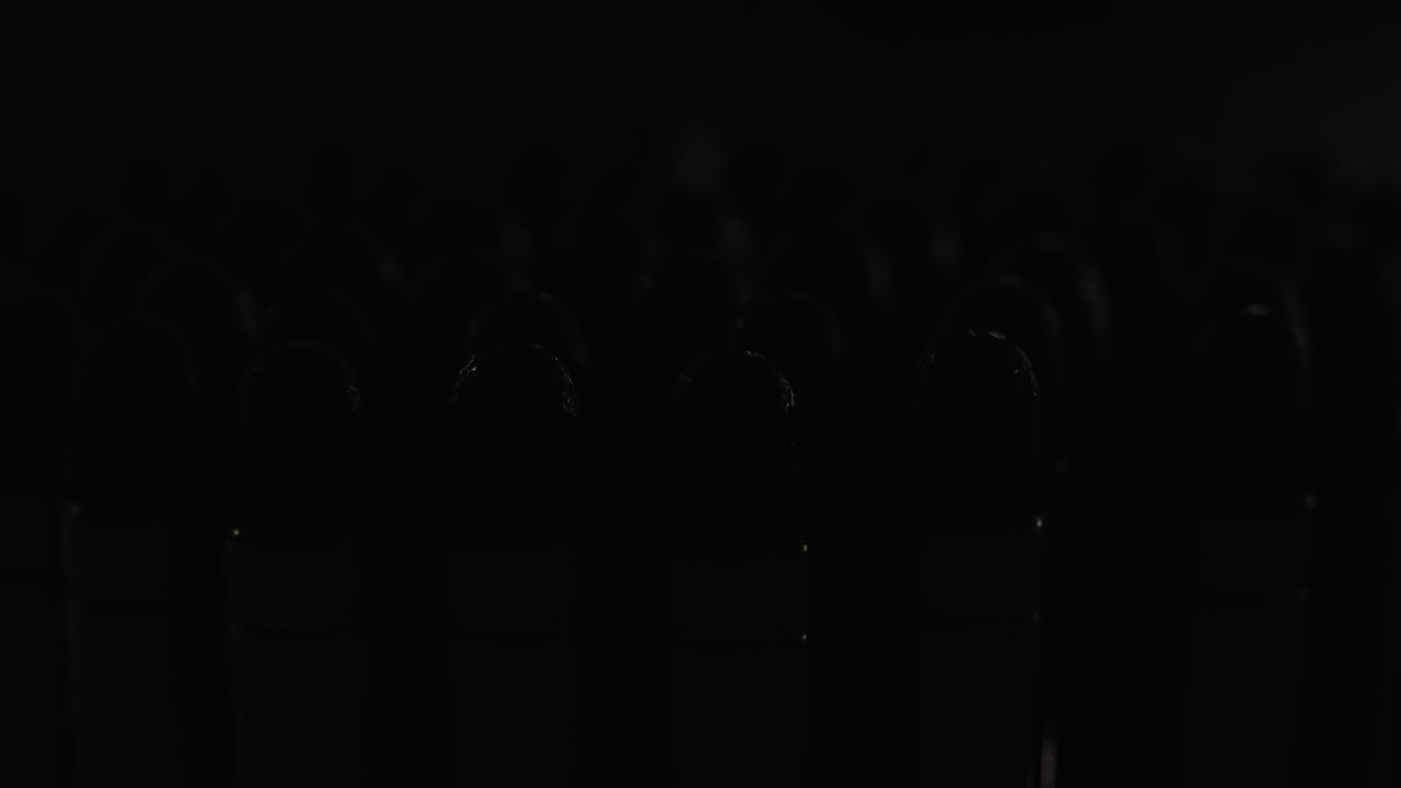 una selección de balas de revólver 05