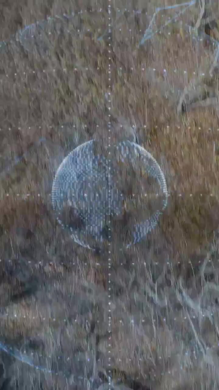 Vertical video: Point-cloud appearing over dry field rotating while strands falling, showing tech