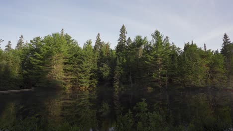 reflejo del paisaje forestal en un lago, destino de viaje del parque algonquin