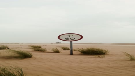 desert road sign 60