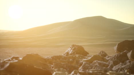 aerial view on big sand dunes in sahara desert at sunrise