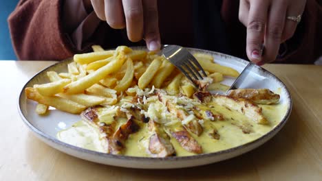 closeup of a plate of chicken and french fries