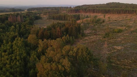 Toma-Aérea-Giratoria-Del-Bosque-Circundante-Donde-Se-Produjo-El-Incendio-Forestal-La-Noche-Anterior-En-Hesse,-Alemania