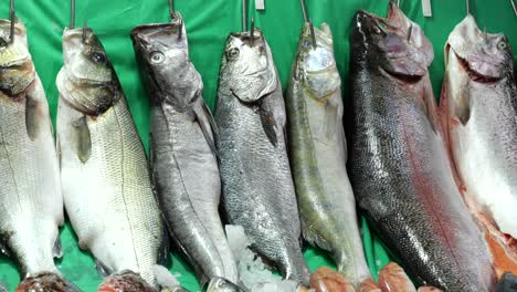 fresh fish on display at a market