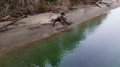 Stationäre-Drohnenaufnahme-Des-Ruhigen-Buchtwassers-Am-Ufer-Mit-Baumstämmen-In-Der-Wollochet-Bay-Im-Gig-Harbor,-Bundesstaat-Washington