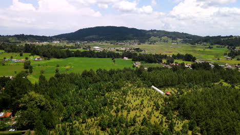 Aerial-view-of-Christmas-Trees-forest-in-Mexico