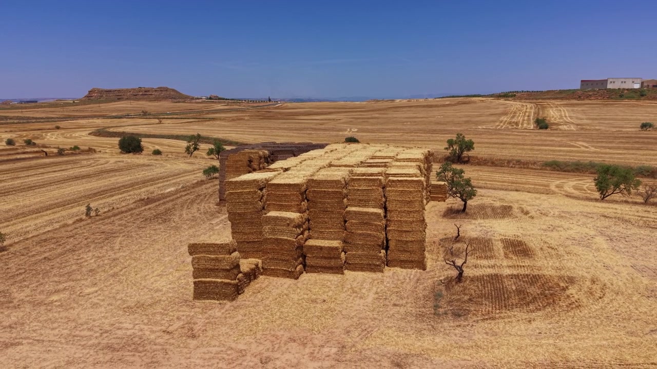 Large stack of rectangular hay bales piled high in a dry harvested field under clear blue sky, surrounded by arid landscape with scattered trees and distant hills
