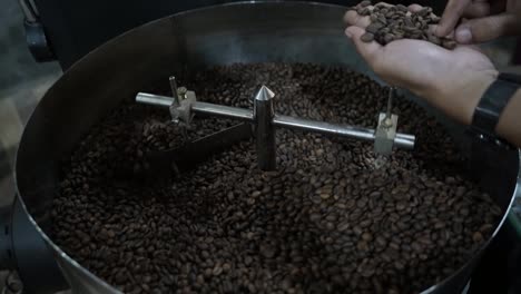 coffee beans being processed in a roaster