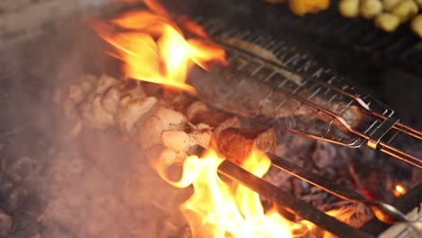 grilled meat and fish on skewers