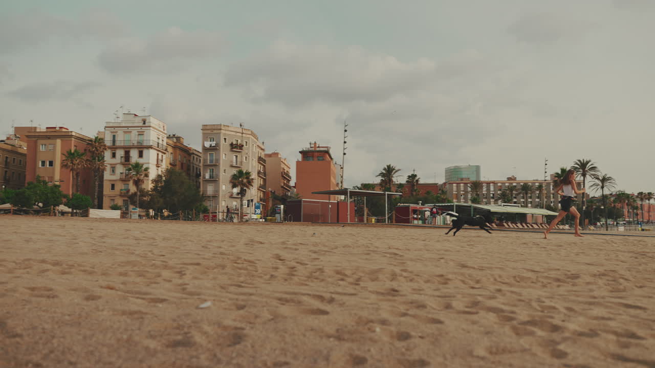 Beach scene with dog, woman, and city buildings