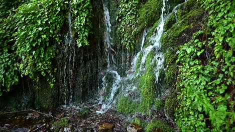 Cascada-De-Primavera-A-Lo-Largo-Del-Valle-Del-Río-Elk-En-El-Sur-De-Oregon---Primer-Plano,-Tiro-Estático