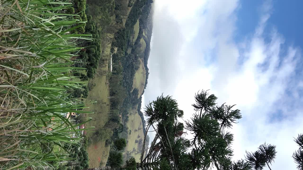 capanne tra gli alberi, ambiente verde, vista sulla foresta dalla cima della montagna