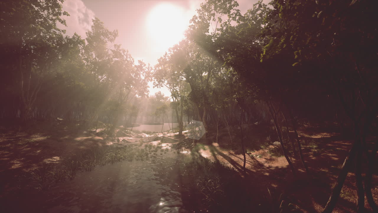 paisaje nebuloso del lago y vibrantes colores de otoño en los árboles al amanecer