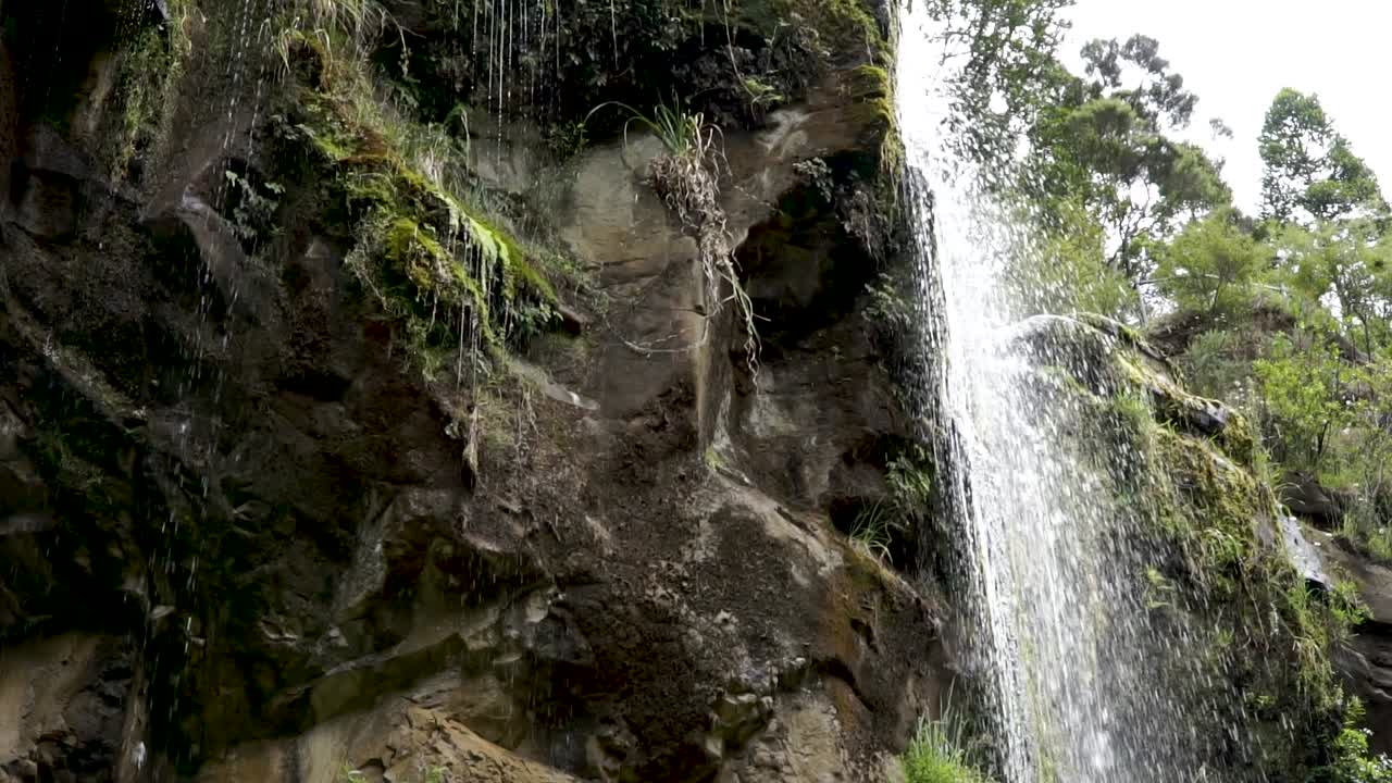 cámara lenta: primer plano de una cascada tropical que fluye sobre rocas en el exuberante bosque nativo de nueva zelanda