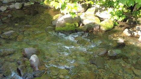 Ein-Schnell-Fließender-Bach-Mit-Aufnahmen,-Die-Im-Sommer-über-Felsen-Von-Rechts-Nach-Links-Schwenken