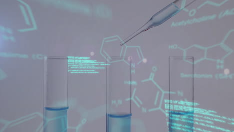 Animation-Der-Wissenschaftlichen-Datenverarbeitung-über-Laborschalen-Auf-Grauem-Hintergrund