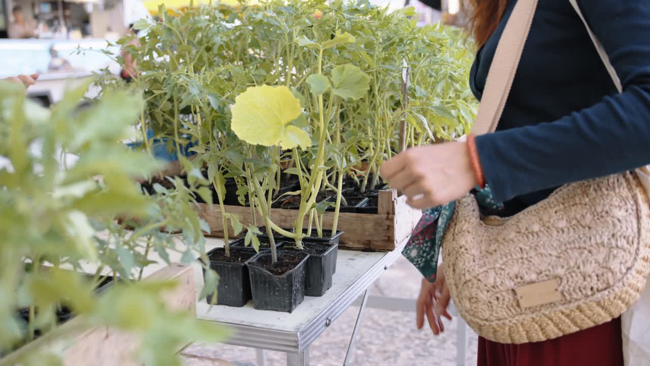 Buying plants at outdoor market in Dordogne