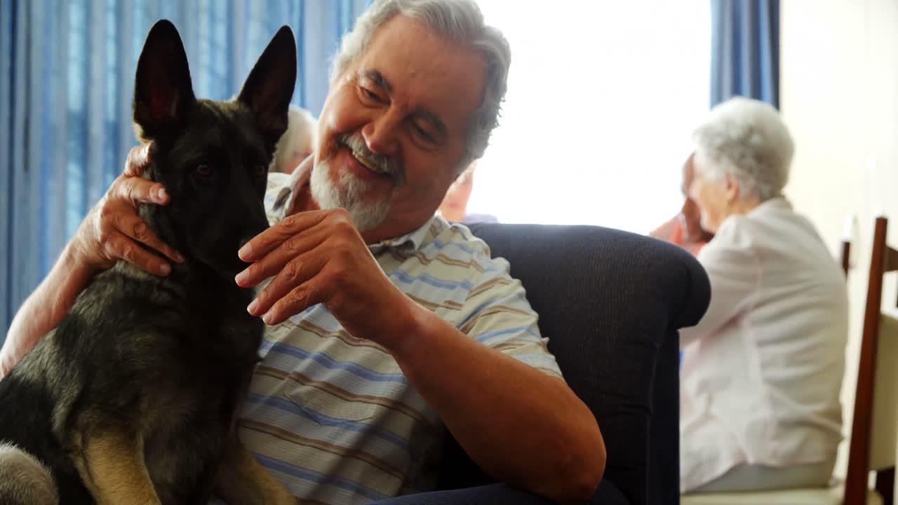 노인 가정 에서 개 를  ⁇ 는 노인 4k