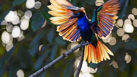 vivid close-up of a colorful bird perched on a branch, captured at eye level