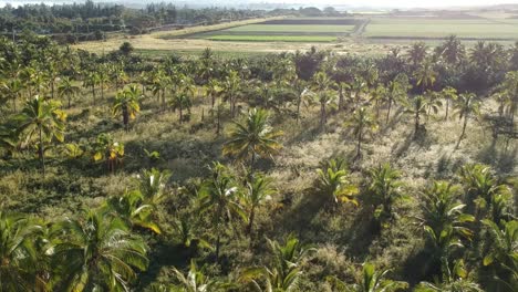 Right-to-left-pan-shot-with-drone-at-stable-height-of-north-shore-oahu-farm-land-and-ranch-view-towards-the-shore-with-the-mountains-on-the-right