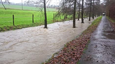 dinámica natural de los ríos. masas de agua después de las lluvias