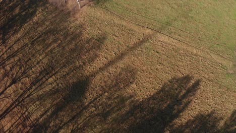 Schatten-Der-Windkraftanlage-Auf-Der-Wiese-Neben-Dem-Wald