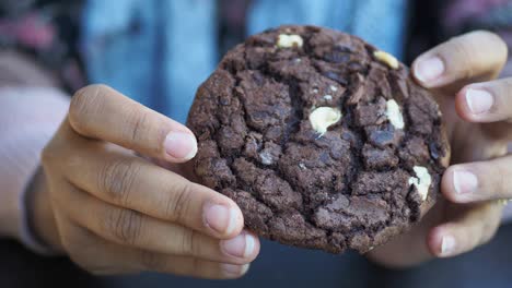 chocolate chip cookie in hands