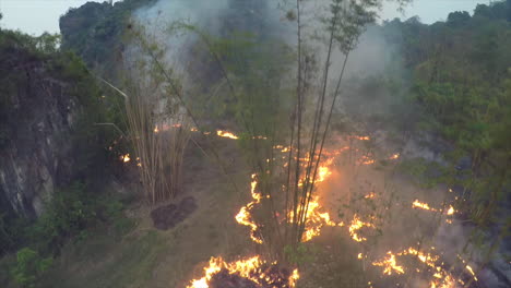 dramatic aerial over a slash and burn agricultural fire in a rainforest area