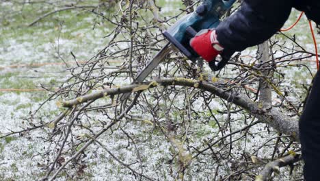 Tree-cutting-with-chainsaw,-Woodcutter-removes-branches-from-fallen-tree