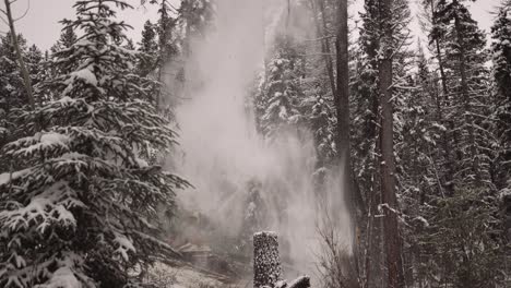 tight close shot industrial timber manipulator saw machine takes snow-covered trees down in snowstorm, dramatic, part of a large series