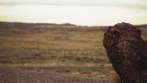 Riesiger-Holzstamm-Mit-Wiesenland-Im-Petrified-Forest-Nationalpark-In-Arizona,-Schwenkaufnahme