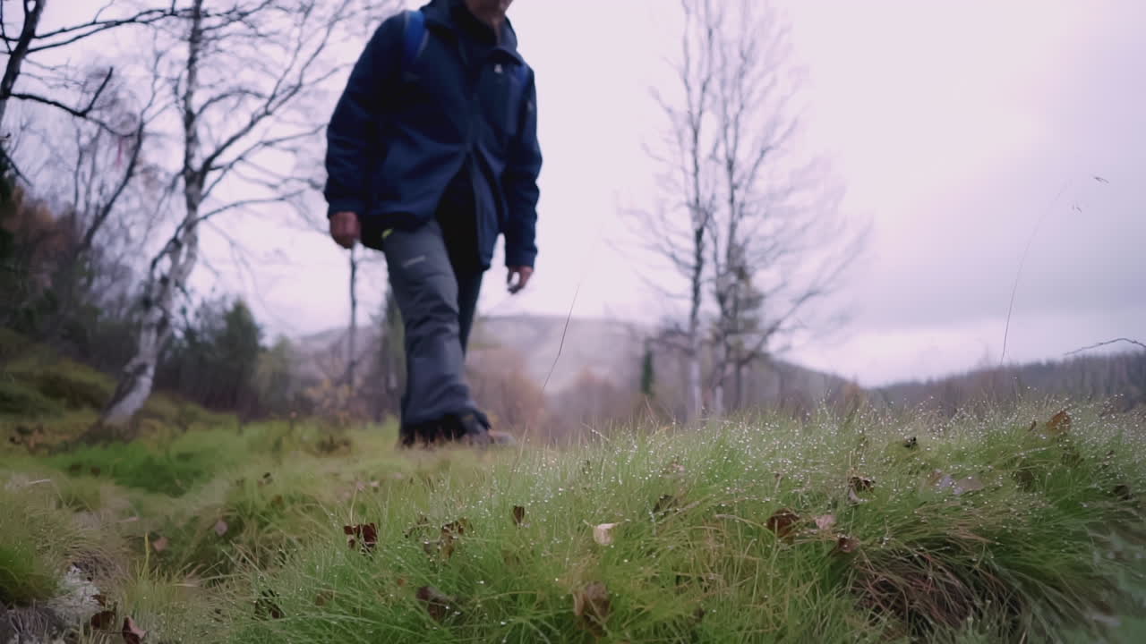 안개 숲 에서 산책 하는 사람