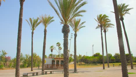 Tiro-De-ángulo-Bajo-Del-Parque-De-Palmeras-En-Playa-El-Pinar-Playa-En-Zona-De-Playa-Grau-En-Castellon,-España,-4k