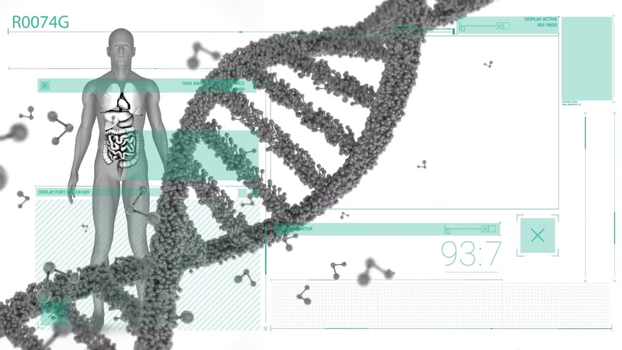 Animation of dna, molecules and human body model on white digital ...