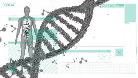 Animation-of-dna,-molecules-and-human-body-model-on-white-digital-screen