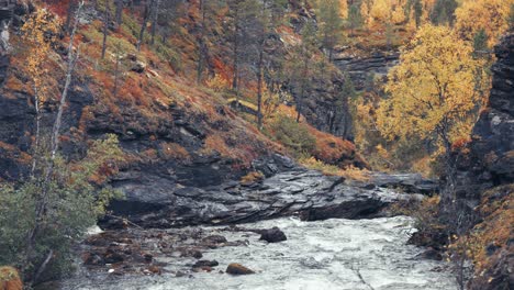 El-Río-De-Montaña-Cae-En-Cascada-A-Través-Del-Cañón-Rocoso-En-El-Bosque-De-Otoño