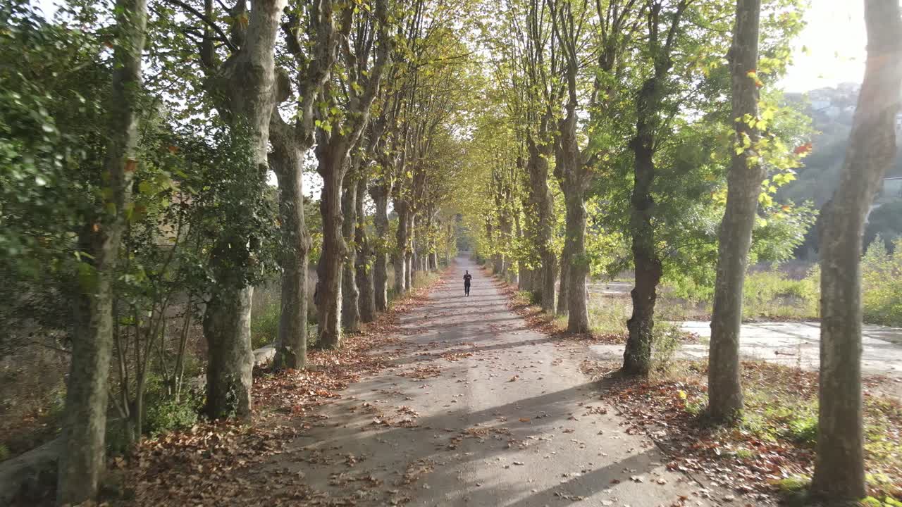 Parco autunnale: Corsa 2
