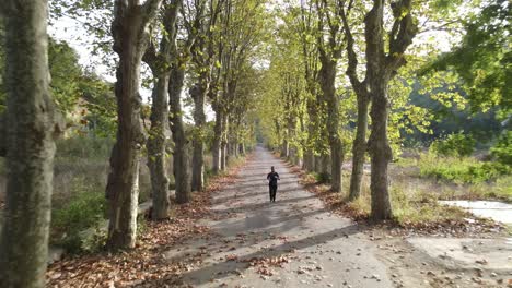 Otoño-Parque-Deporte-Corriendo-2