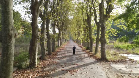 otoño parque deporte corriendo 2