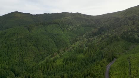 the lush forest landscapes of portugal's azores region as you observe them from above, capture the spirit of exploration and discovery