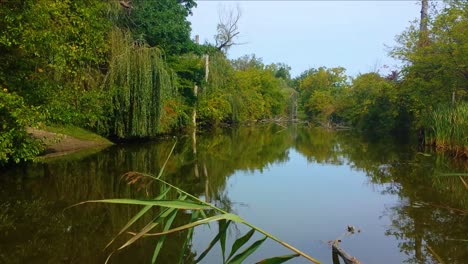 A-Natural-Pond-Located-in-the-Heart-of-the-Woods