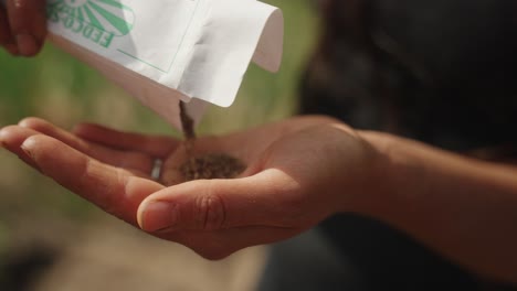 semillas vertidas en la mano del agricultor