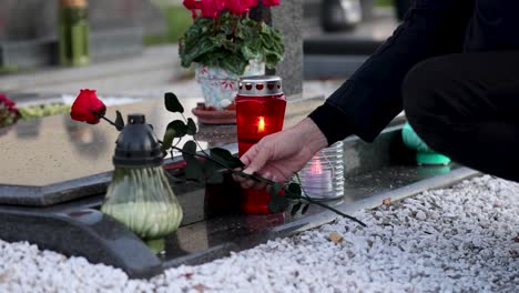 male person placing a red rose on the grave, 4k footage