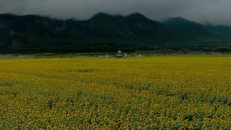 Nachhaltige-Landwirtschaft-Und-Ackerbau-In-Hawaii