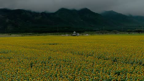 sustainable farming and agriculture in hawaii
