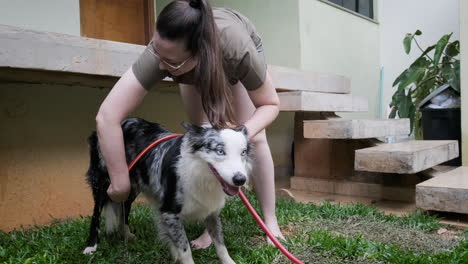 young woman enjoys while hosing down australian shepherd dog