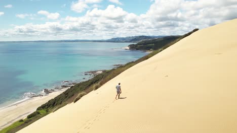 traveler walking on huge sand dune at ahipara sand dunes, northland, new zealand - aerial view