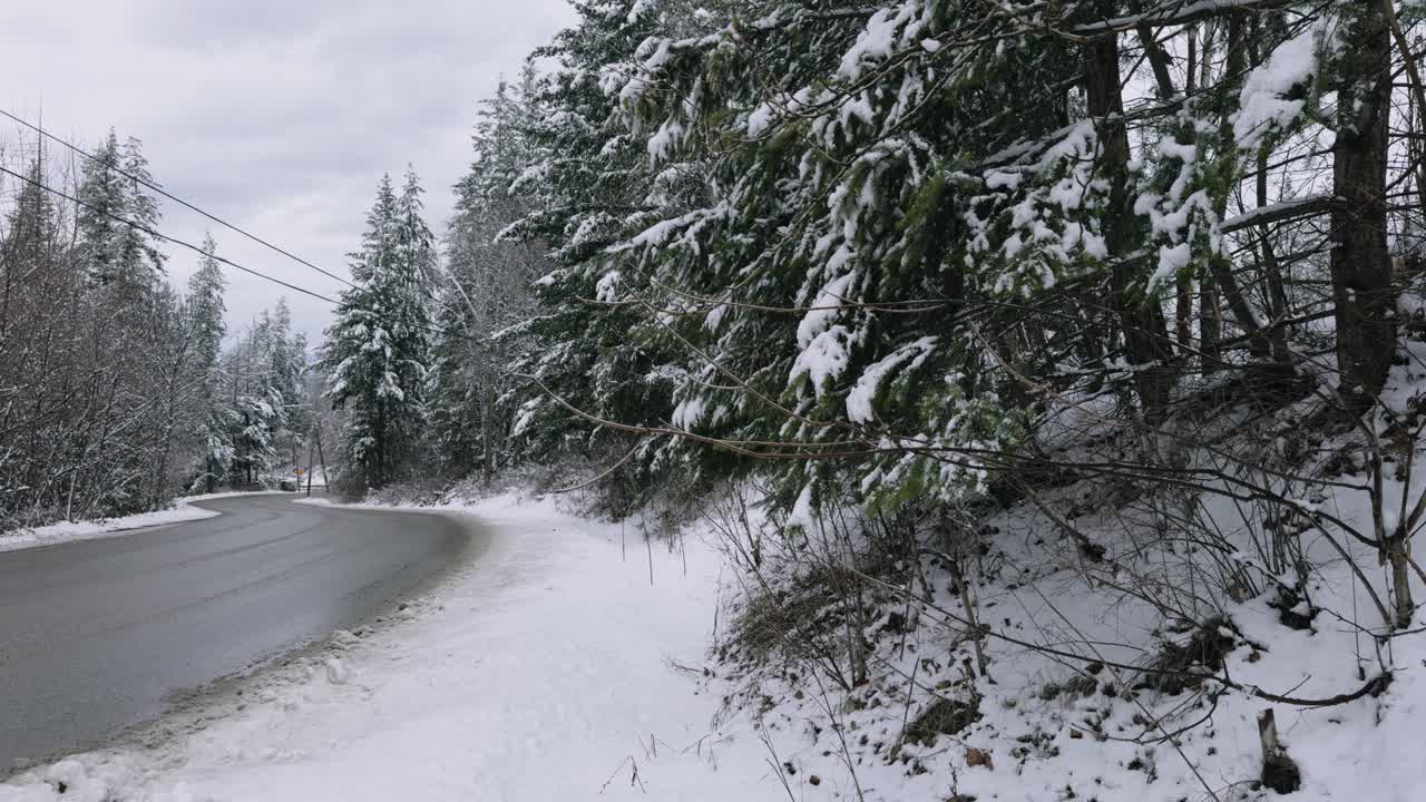 눈이 부드럽게 나무에서 떨어지는 눈이 눈 인 도로에서 흐린 겨울 날